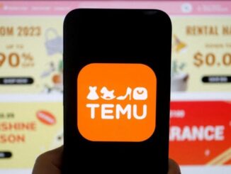 Temu : que valent vraiment ses bons plans ? Les achats à éviter et les vérifications à faire avant de commander