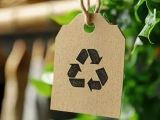Environnement : vers un encadrement renforcé des mentions « écologique », « durable », « neutre en carbone » sur les produits