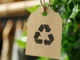 Environnement : vers un encadrement renforcé des mentions « écologique », « durable », « neutre en carbone » sur les produits