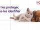 Arnaque en ligne : I-CAD appelle ses usagers à la vigilance après de nouveaux signalements de messages frauduleux usurpant son identité
