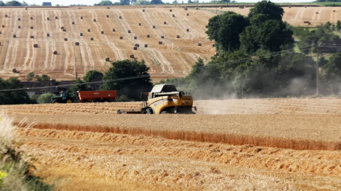 Sécheresse : plus d’un milliard d’euros d’aides à l’agriculture sans baisse garantie des prix en rayon